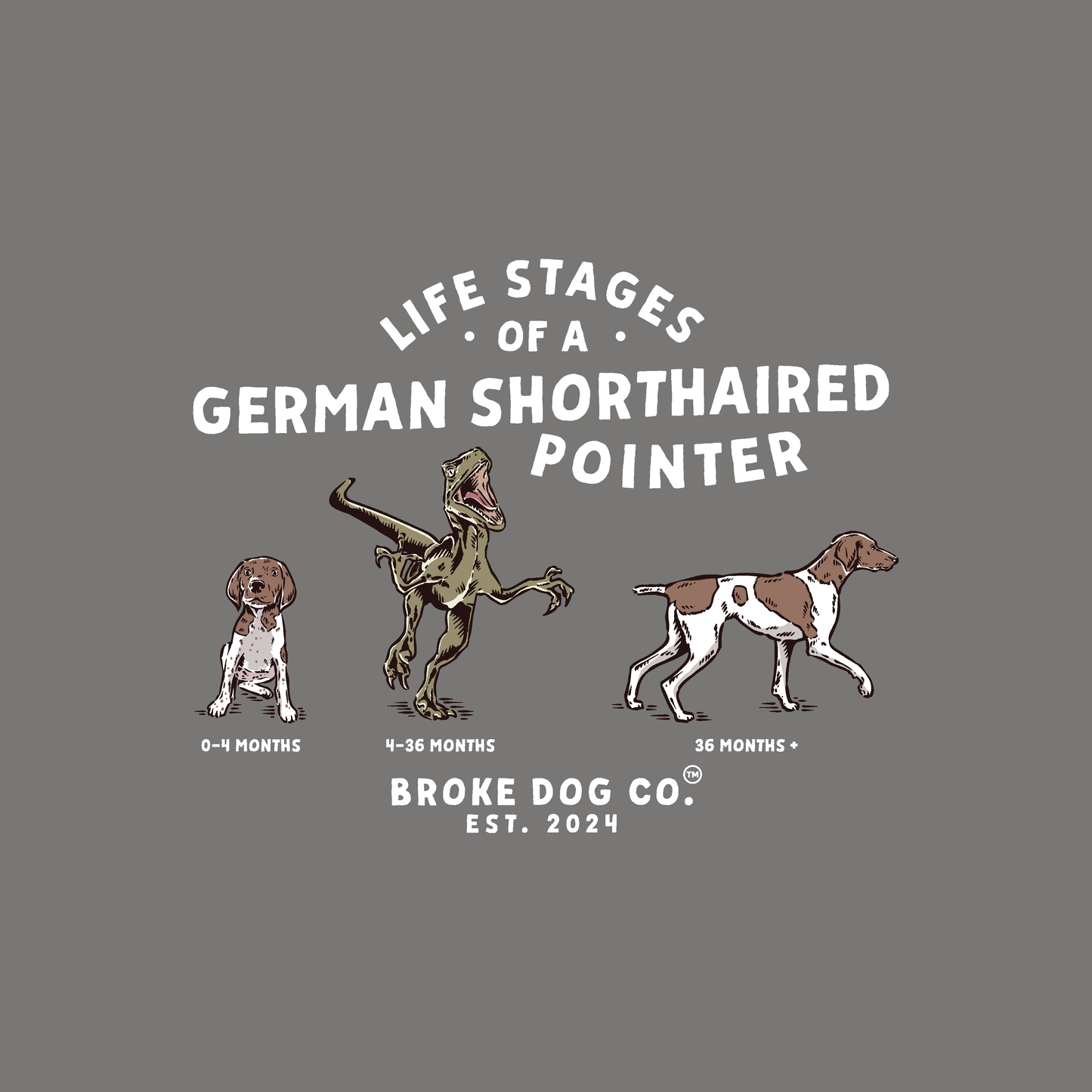 Illustration showing life stages of a German Shorthaired Pointer in three stages with Broke Dog Co. branding.