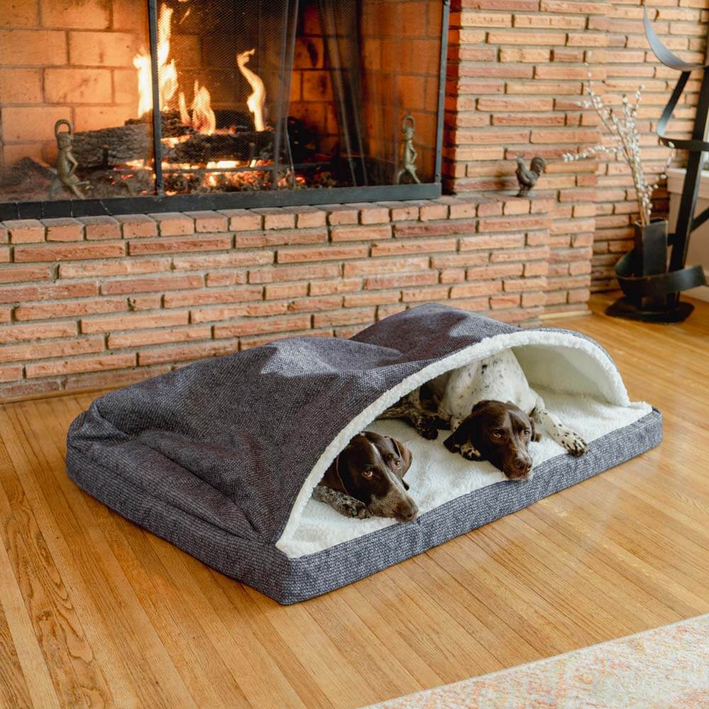 Two dogs relaxing in a Luxury Cozy Cave® Forgiveness Foam bed by a cozy fireplace.