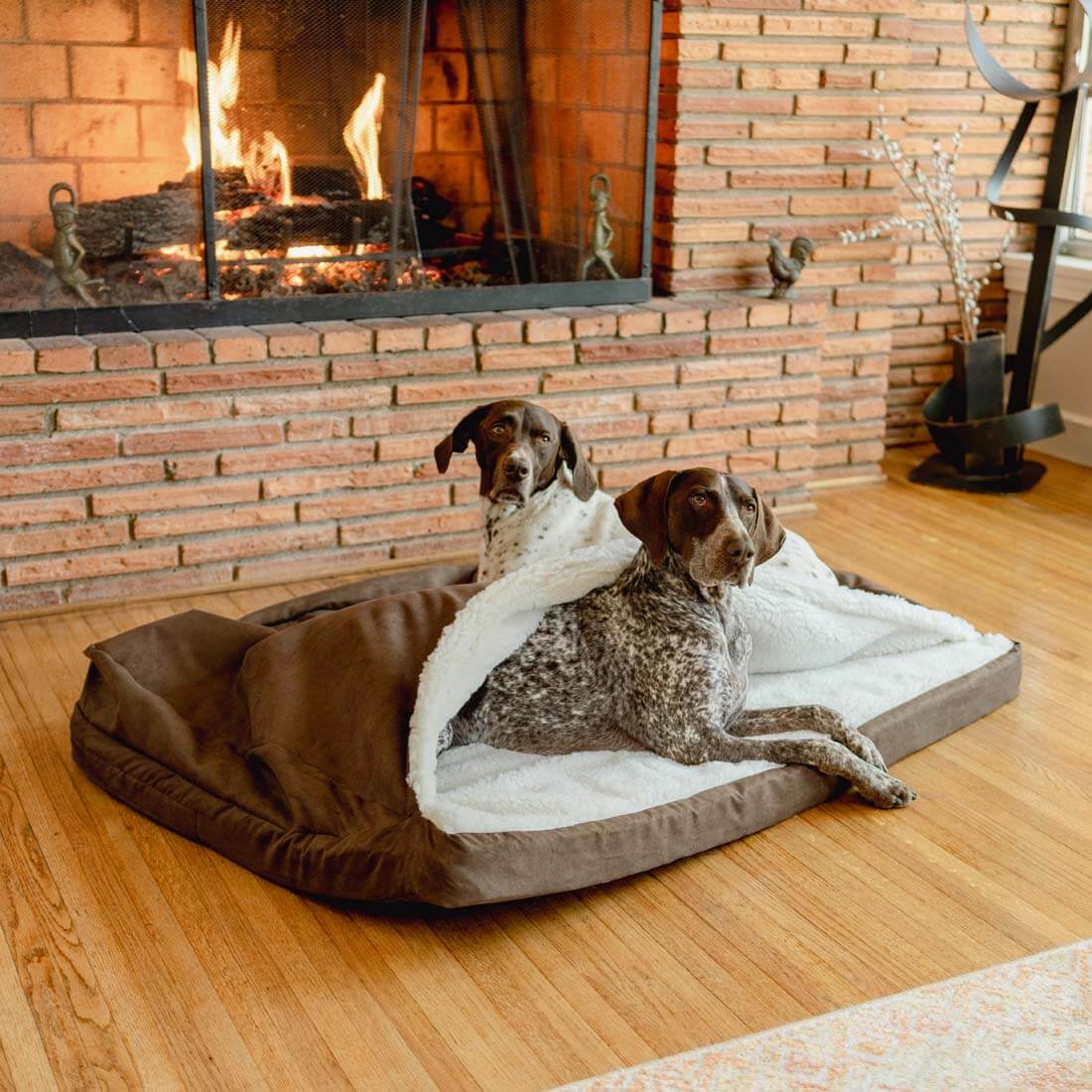 Luxury Cozy Cave® Forgiveness Foam – Microsuede