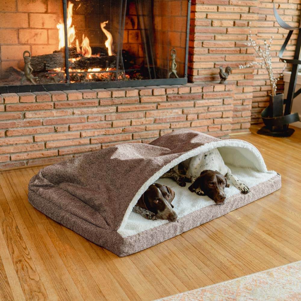 Two dogs relaxing in a Luxury Cozy Cave® Forgiveness Foam bed by a cozy fireplace.