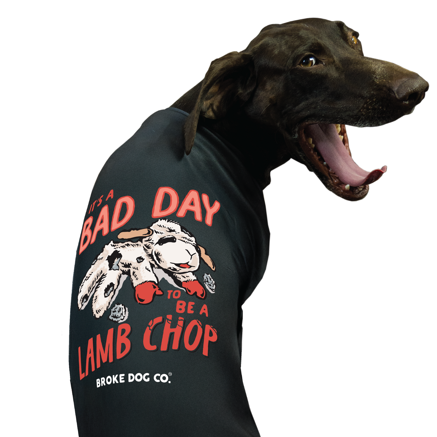 Bad Day To Be A Lamb Chop Dog Shirt
