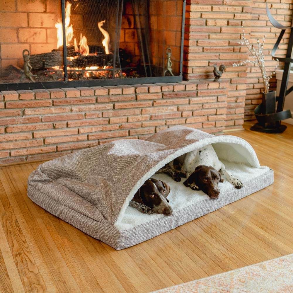 Two dogs relaxing inside a Luxury Cozy Cave® Forgiveness Foam dog bed by a fireplace, showcasing comfort and style.