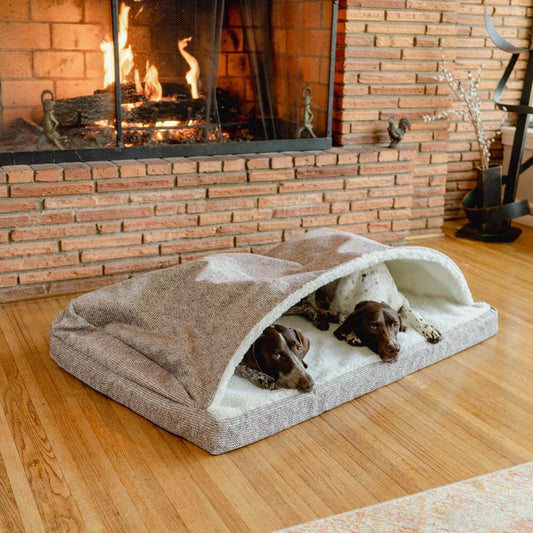 Two dogs relaxing inside a Luxury Cozy Cave® Forgiveness Foam dog bed by a fireplace, showcasing comfort and style.