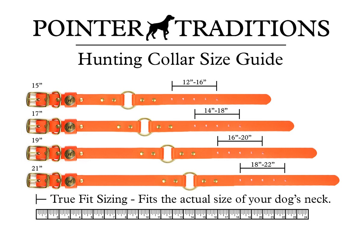 Hunting Dog Center Ring Collar - Rainbow Trout