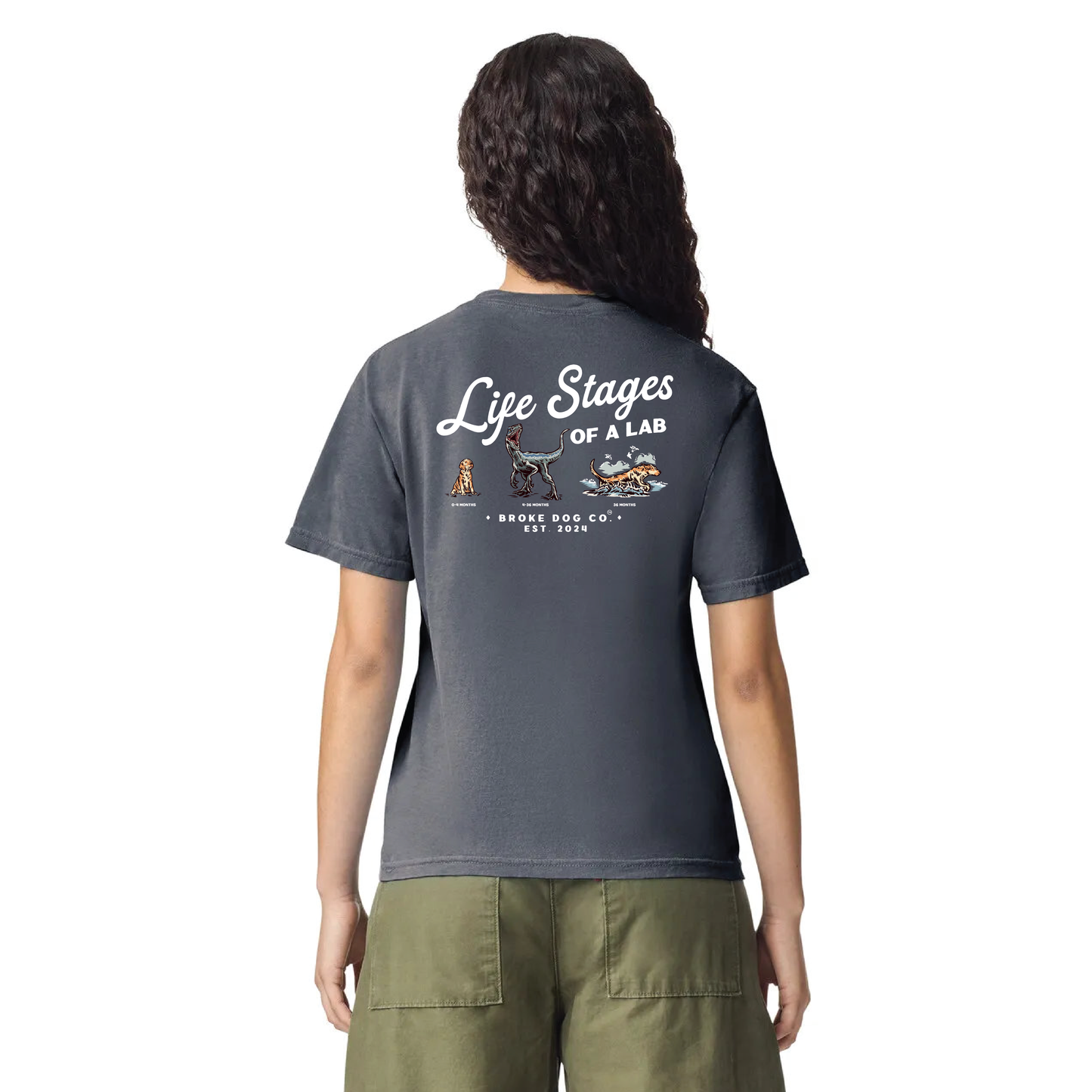 Unisex denim t-shirt featuring 'Life Stages of a Lab' design by Broke Dog Co.