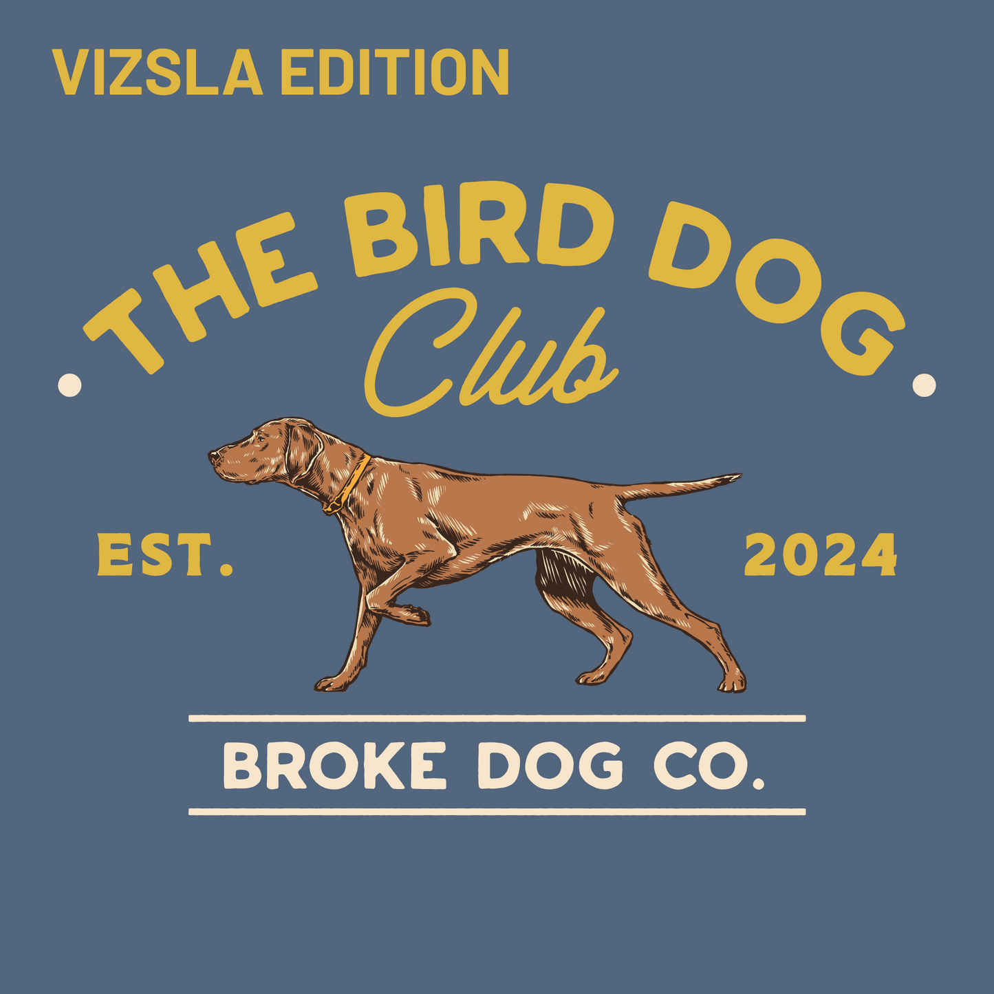VIZSLA