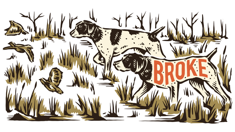 BIRD DOG CLUB Main Image