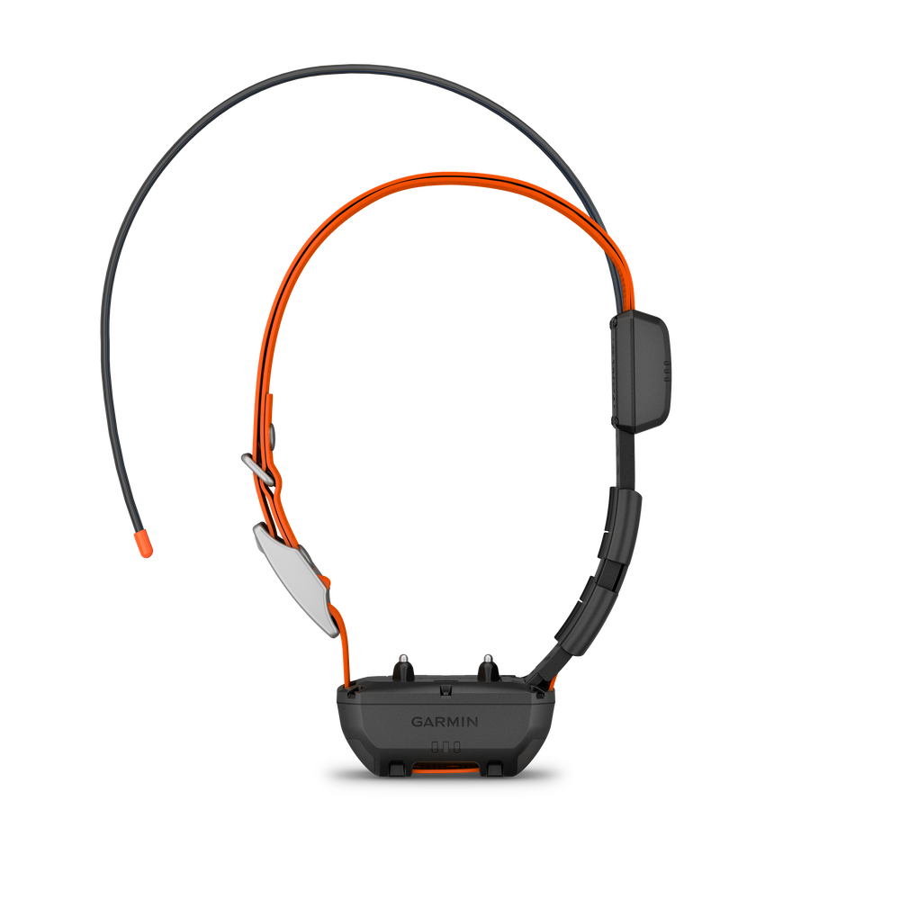 Alpha TT25 GPS Collar