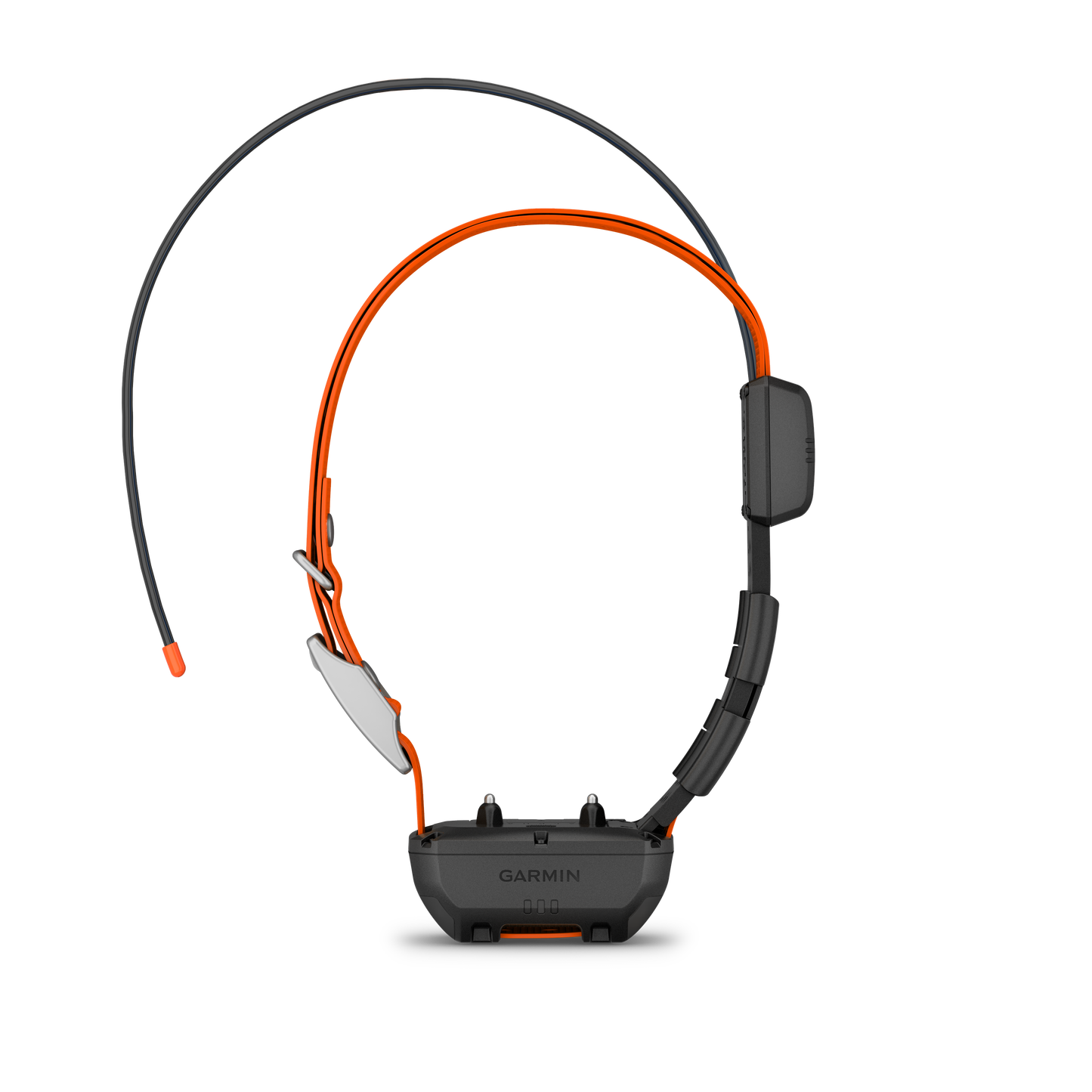 Alpha TT25 GPS Collar
