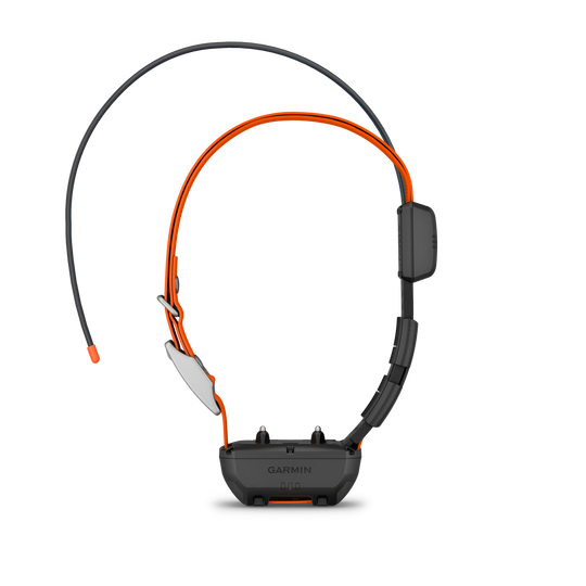 Alpha TT25 GPS Collar