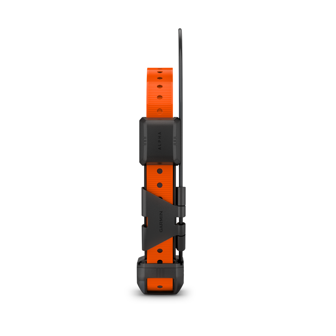 Alpha TT25 GPS Collar