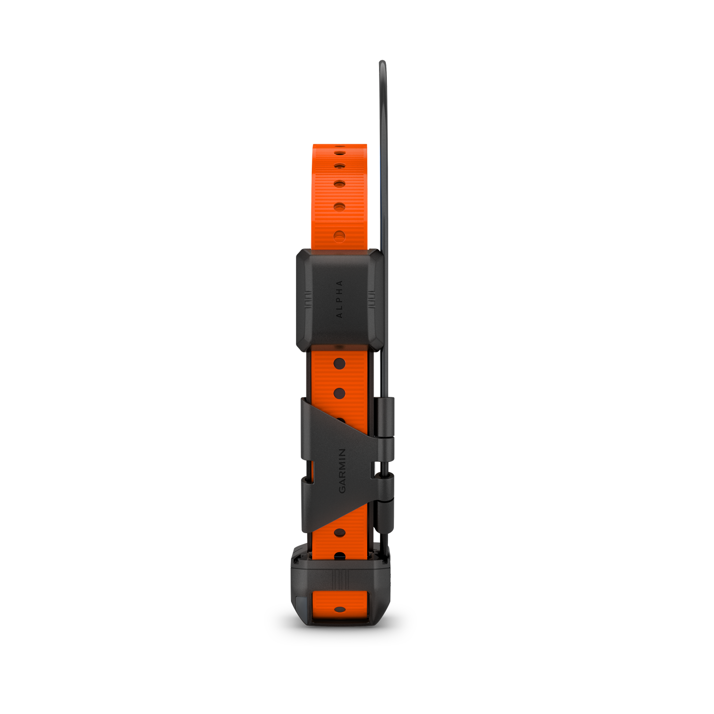 Alpha TT25 GPS Collar