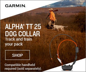 Alpha TT25 GPS Collar