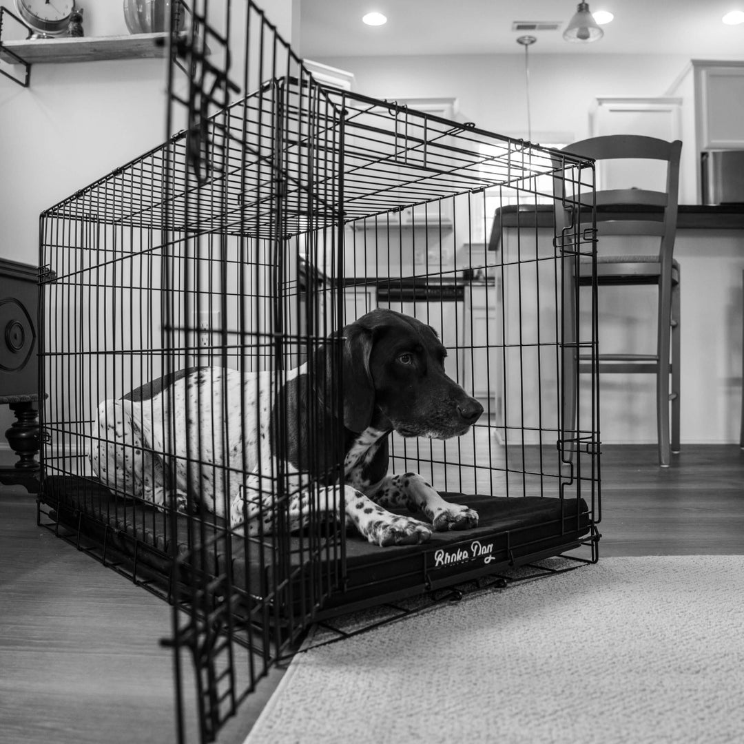 Black and white photo of a dog resting on a Broke Dog Venture Pro Crate Pad inside a wire crate.