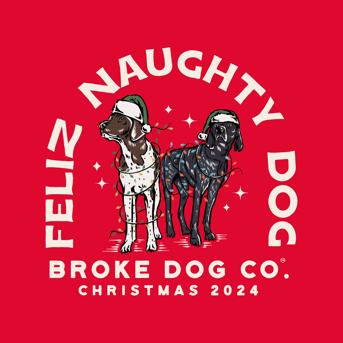 Feliz Naughty Dog