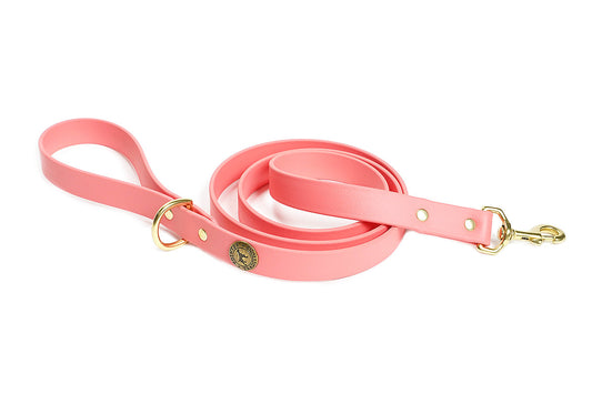 Sporting Dog Leash - Coral