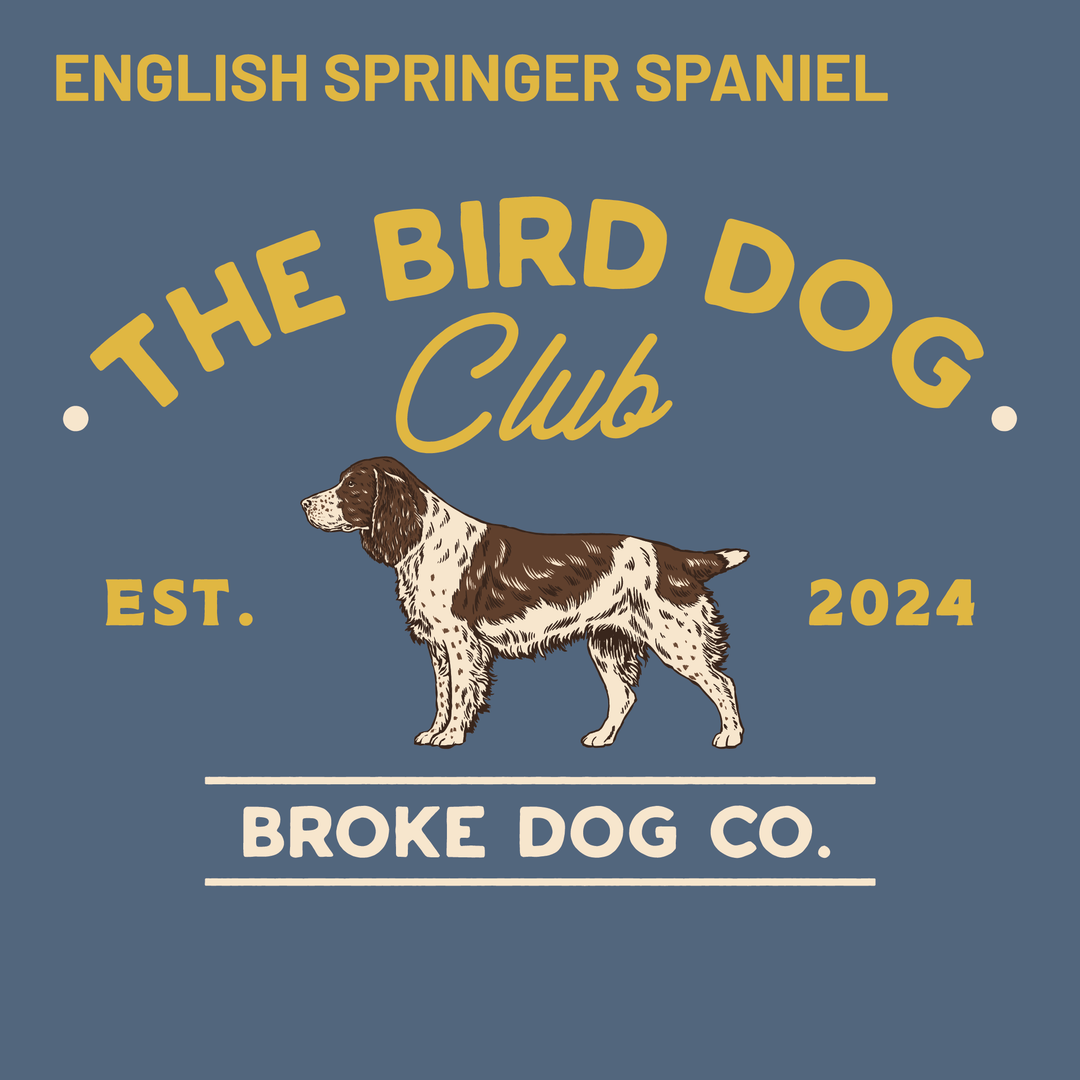 ENGLISH SPRINGER SPANIEL
