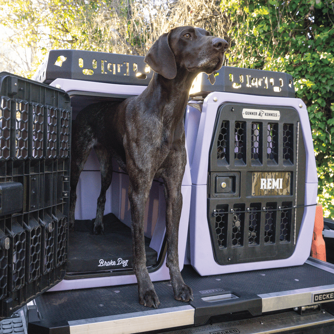 Dog standing in a Broke Dog kennel pad inside a Gunner Kennel, showcasing comfort and durability.
