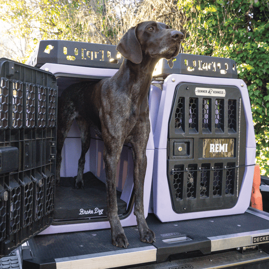 Dog standing in a Broke Dog kennel pad inside a Gunner Kennel, showcasing comfort and durability.