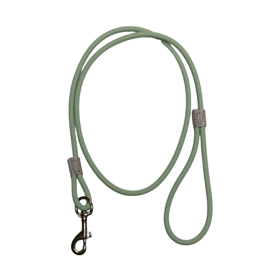 Biothane Dog Leash- 4' x 5/16" Thick