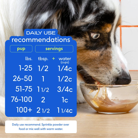 Beef Bone Broth Powder, Grain-Free Food Topper Infographic 2
