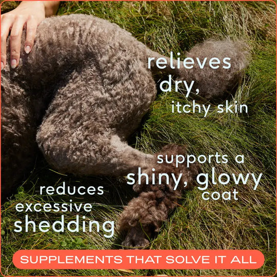 Omega-3 Fish Oil Skin & Coat Health Supplement For Dogs Infographic 1