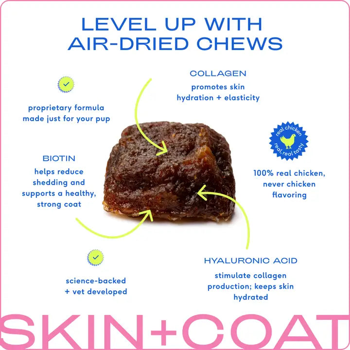 Skin + Coat Chews, Skin & Coat Supplement For Dogs