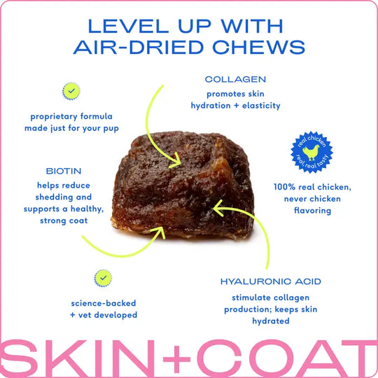 Skin & Coat Supplement For Dogs