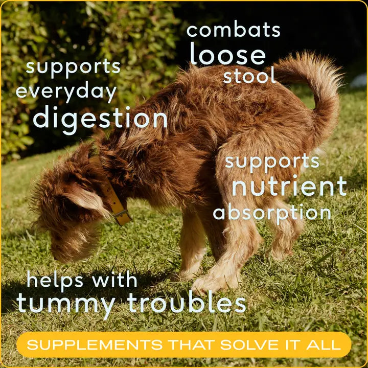 Organic Pumpkin Fiber Powder Digestive Supplement For Dogs Lifestyle