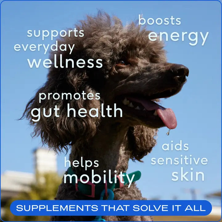 The Daily Powder Supplement for Dogs boosts energy, supports wellness, mobility, gut health, and sensitive skin for dogs.