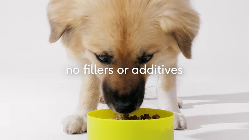 Probiotic & Prebiotic Powder Vet-Formulated Supplement